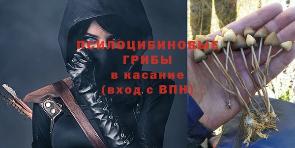 гидропоника Алзамай