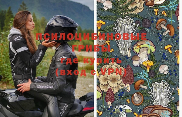 apvp Алексеевка