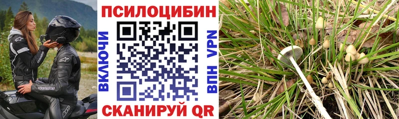 гидра ССЫЛКА  маркетплейс состав  Псилоцибиновые грибы мухоморы  Черногорск 