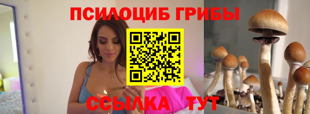 Черногорск  Галлюциногенные грибы MAGIC MUSHROOMS  Вход с VPN 