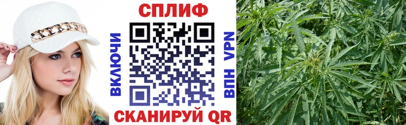Бошки марихуана гибрид  Черногорск 